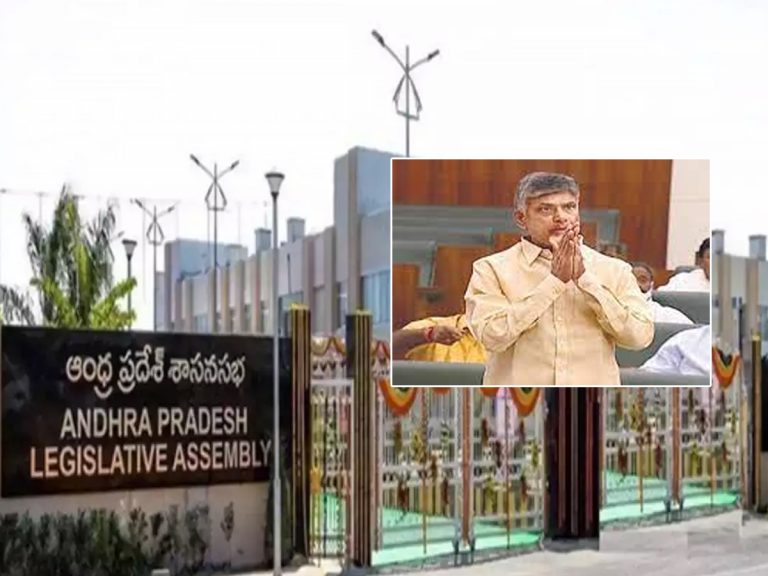 TDP: అసెంబ్లీకి వెళ్లాలని టీడీపీ నిర్ణయం.. చంద్రబాబు మాత్రం రారు..