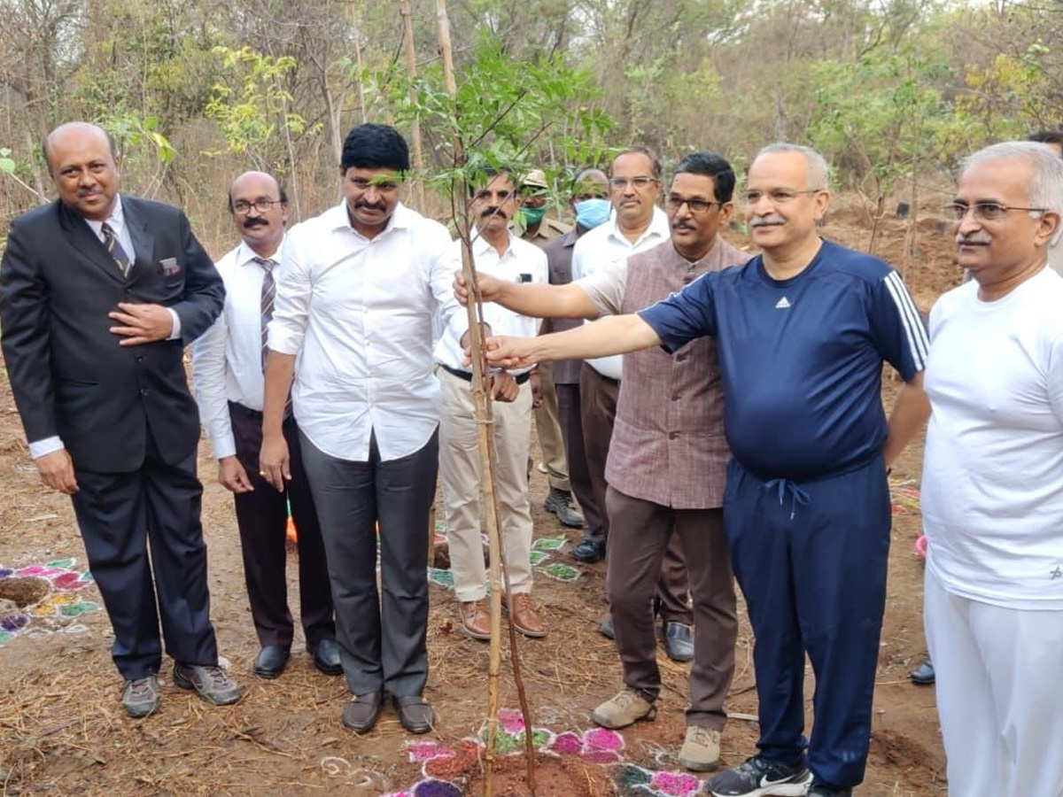 World Forest Day : మొక్కలు నాటిన హైకోర్టు చీఫ్ జస్టిస్ సతీష్ చంద్ర, ఎంపీ సంతోష్ కుమార్