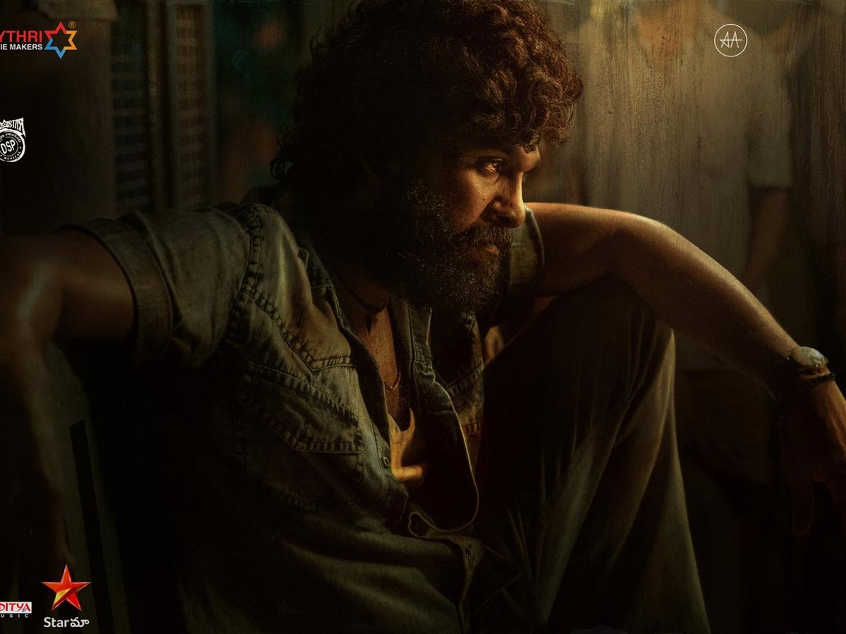 Pushpa : వరల్డ్ టెలివిజన్ ప్రీమియర్ కు టైం ఫిక్స్