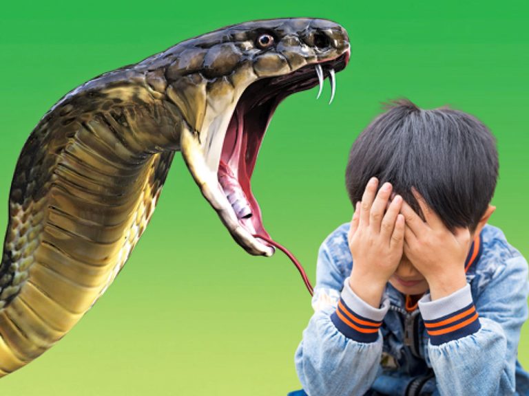 Snake Bite : విషసర్పాల కోరల్లో విద్యార్థుల ప్రాణాలు.. తప్పెవరిది..?