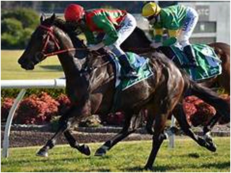 Horse Racing Gang: గుర్రాల రేసుల్లో ఆన్ లైన్ బెట్టింగ్ ముఠా గుట్టురట్టు