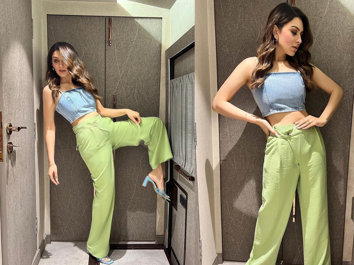 Hansika Motwani: చక్కనమ్మ చిక్కినా అందమే