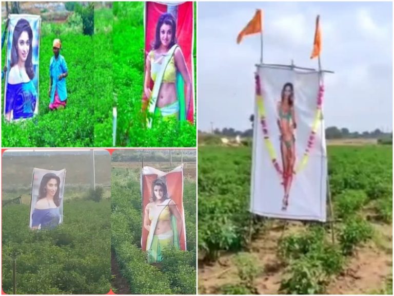 What an idea: ఆ రైతు ఐడియాకు జనం ఫిదా!