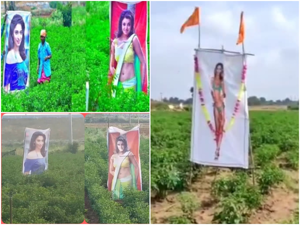 What an idea: ఆ రైతు ఐడియాకు జనం ఫిదా!