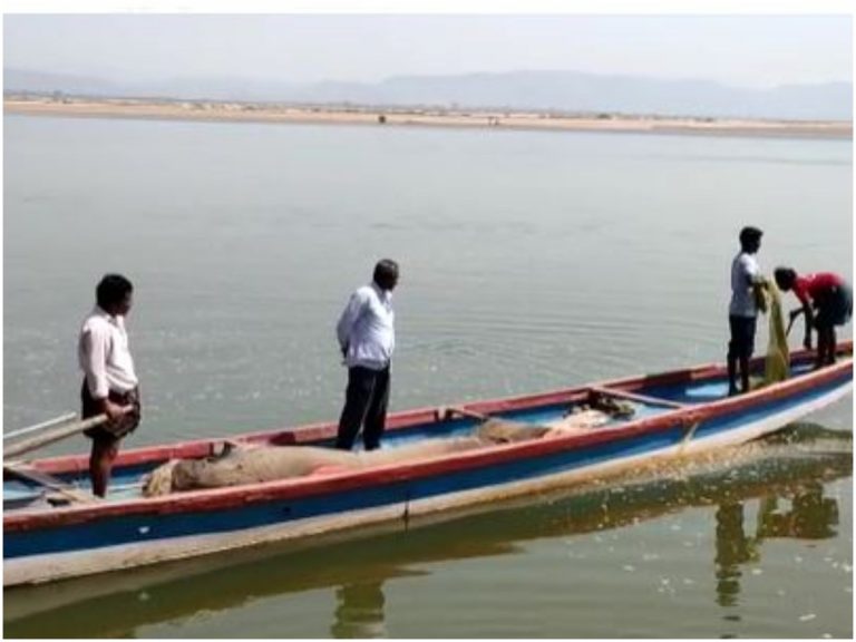 Missing Body Found: గోదావరిలో గల్లంతైన మృతదేహం లభ్యం