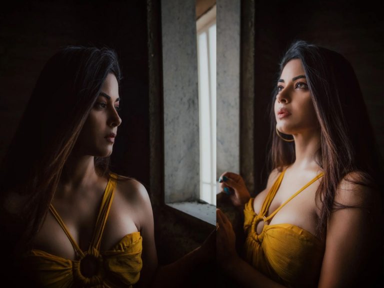 Meera Chopra: అమ్మడి నిధులన్నీ ‘బంగారం’మాయనే