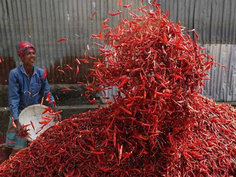 Warangal: మిర్చికి ఆల్‌టైం రికార్డు ధర.. క్వింటాల్‌కు రూ.44వేలు