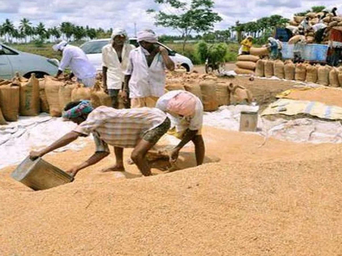 Paddy Purchase: ఆర్భాటంగా ప్రారంభం.. కొనుగోళ్ళు శూన్యం