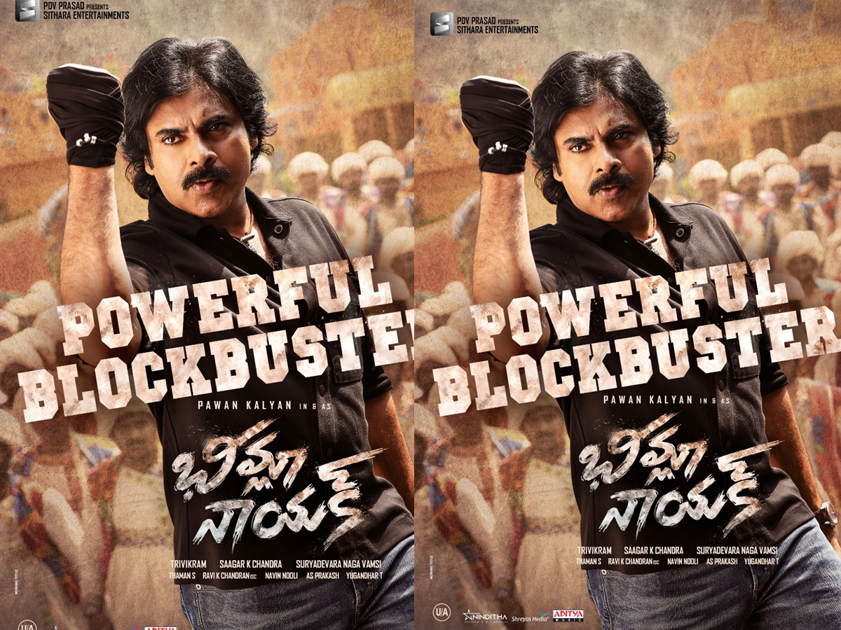 Monthly Report: ఫిబ్రవరిలో దంచికొట్టిన లా… లా… భీమ్లా!