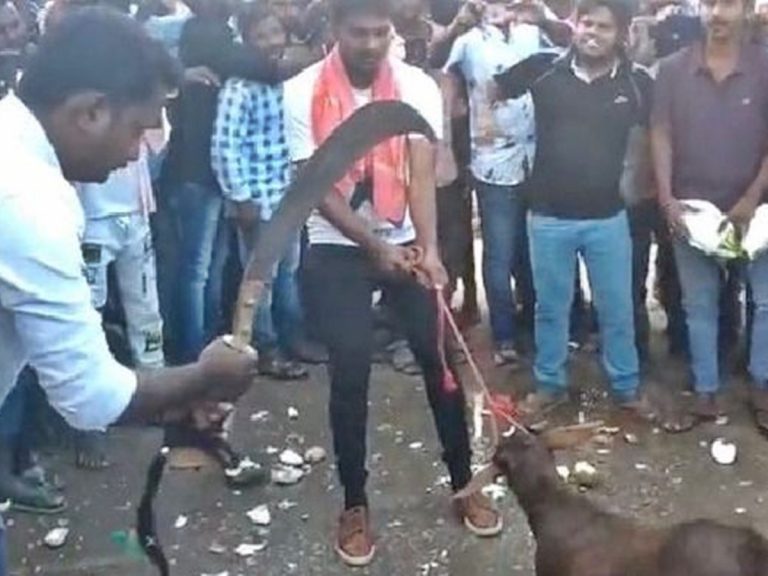 Bheemla Nayak: చిత్తూరు జిల్లాలో పవర్‌స్టార్ అభిమానులపై కేసు నమోదు