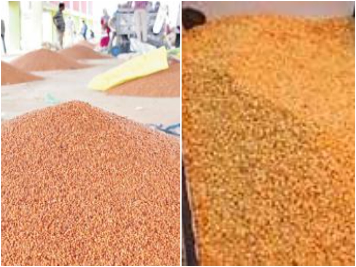 Nalgonda Farmers: కంది రైతులకు కష్టాలు..అధికారుల కొర్రీలు