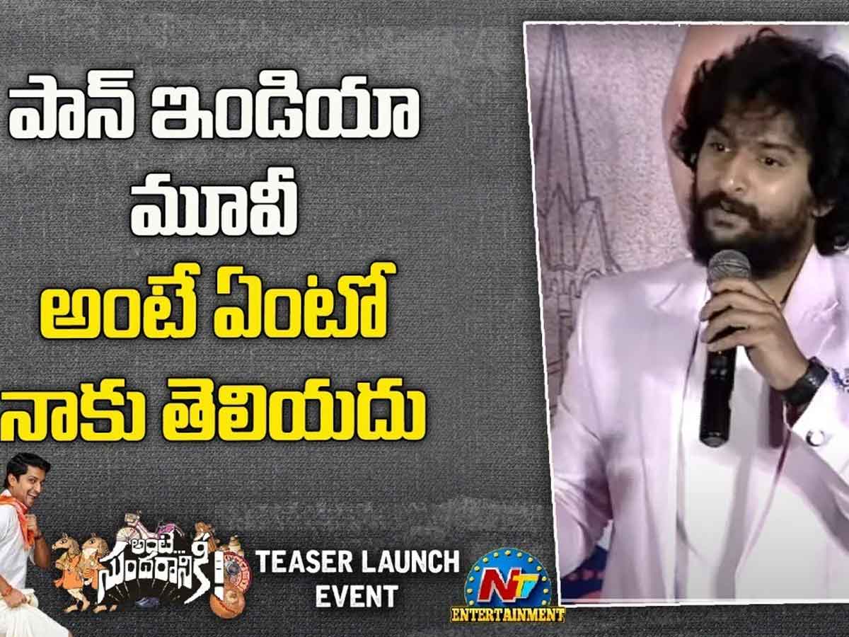 Nani : పాన్ ఇండియా అంటే ఏంటో తెలీదు !