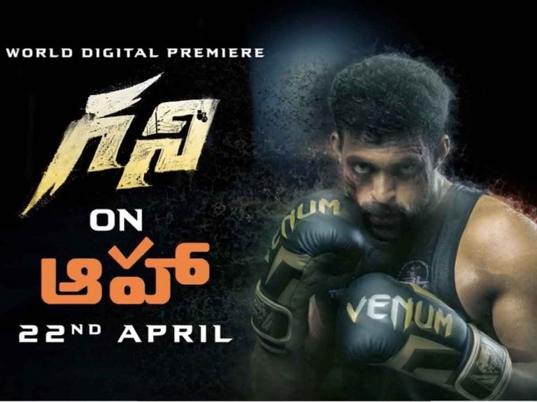 Ghani : ఓటిటి రిలీజ్ డేట్ ఫిక్స్