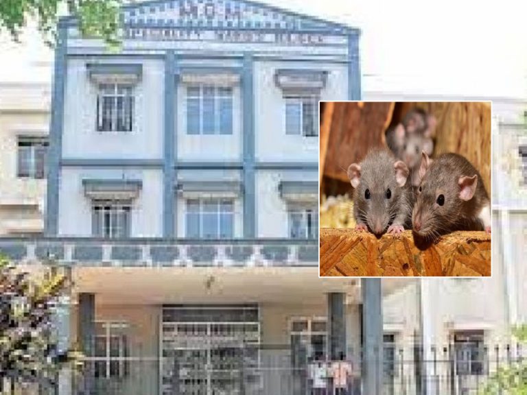 Warangal: ఎంజీఎం బాధితుడి మృతికి ఎలుక కారణం కాదా..?