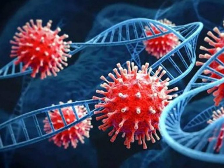 Corona Updates : దేశ రాజధానిలో పెరుగుతున్న కరోనా కేసులు..