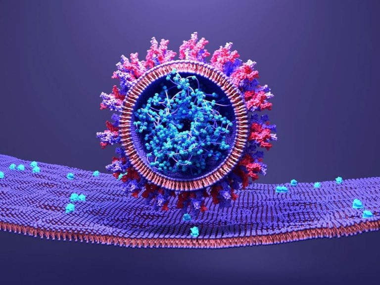 Omicron New Variant : తెలుగు రాష్ట్రాల్లో కొత్త వేరియంట్‌ కేసులు.. ఫోర్త్‌ వేవ్‌ తప్పదా..?