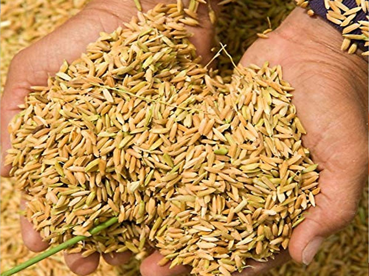 TS Paddy Procurement : బీజేపీ, టీఆర్‌ఎస్‌ల నూ’కల’ రాజకీయం