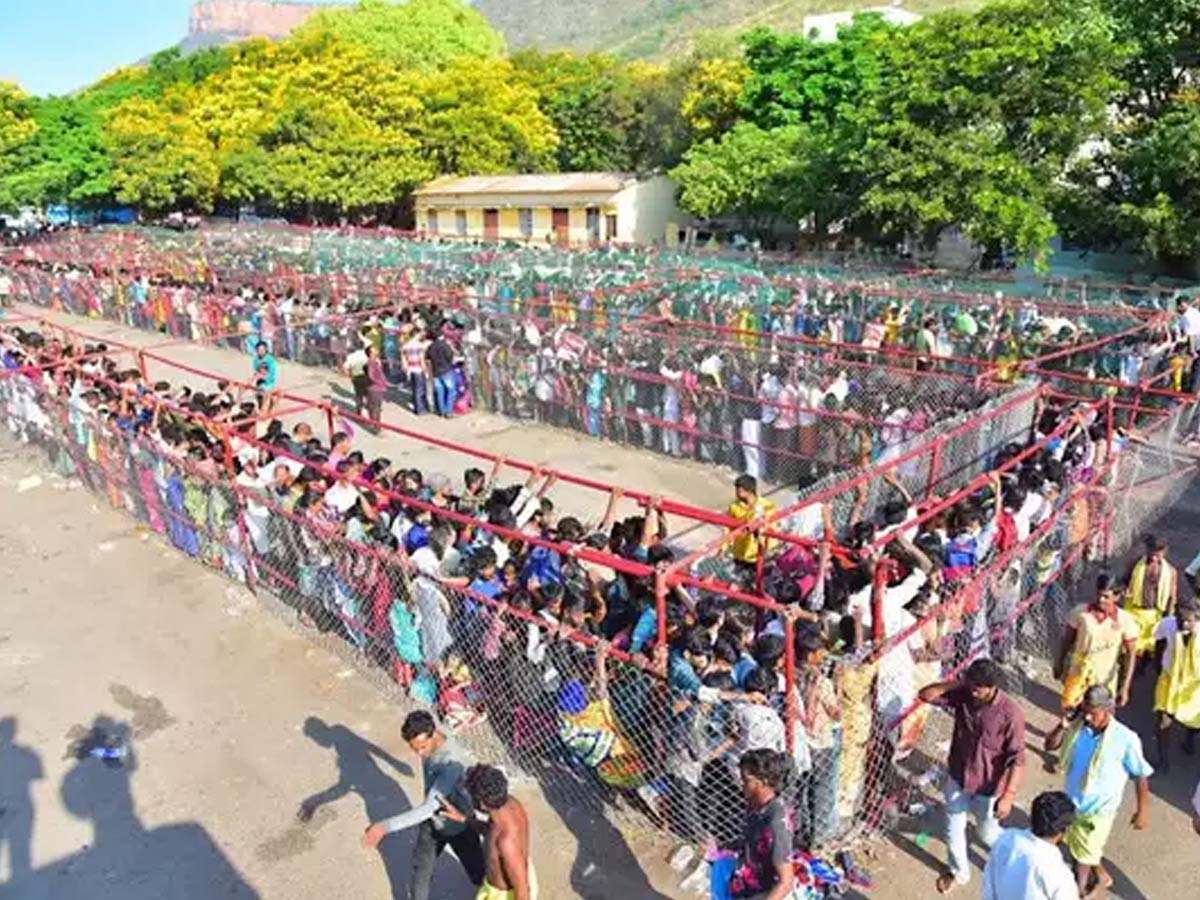 TTD : రికార్డ్ స్థాయిలో శ్రీవారిని దర్శించుకున్న భక్తులు