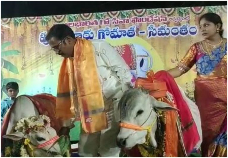 Seemantham: గోమాతకి వైభవంగా సీమంతం