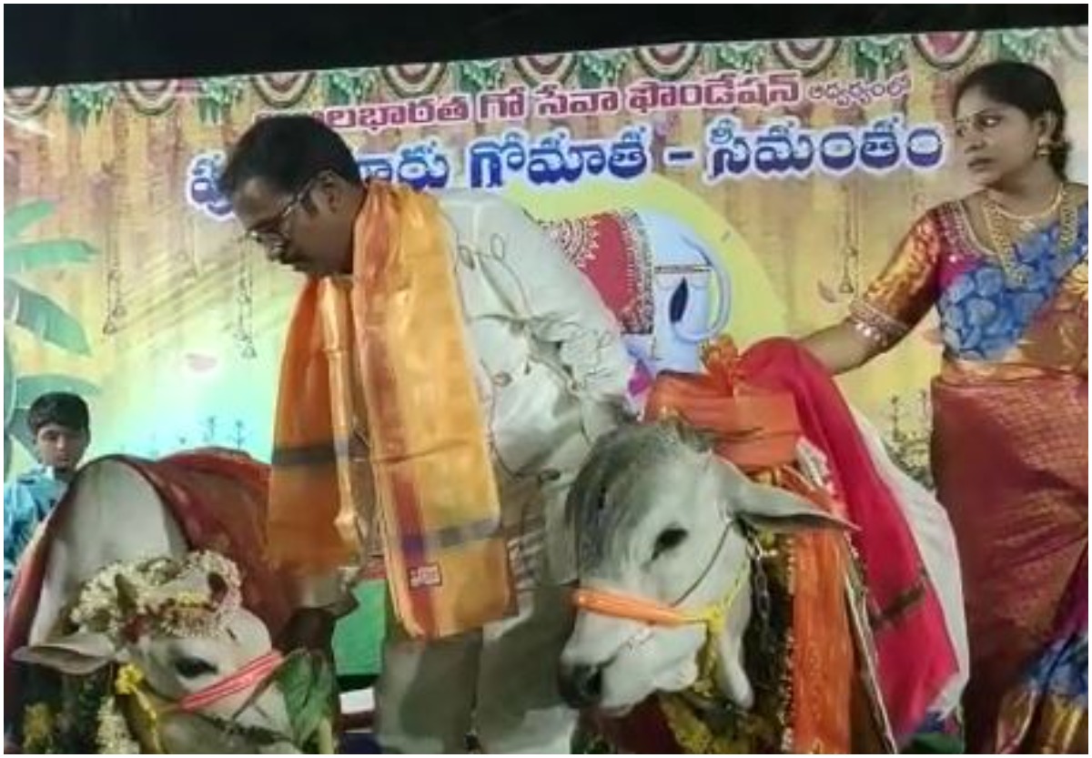 Seemantham: గోమాతకి వైభవంగా సీమంతం