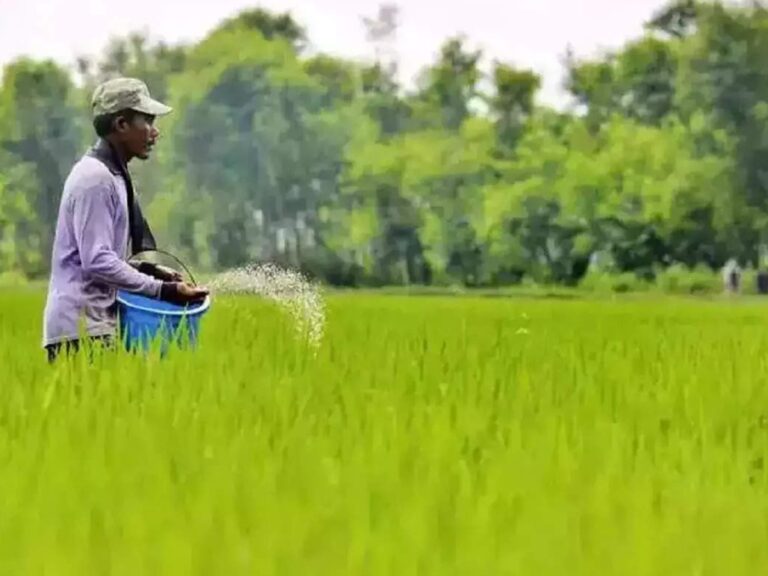Central Government: రైతులకు గుడ్‌ న్యూస్.. ఎరువులపై సబ్సిడీ పెంపు