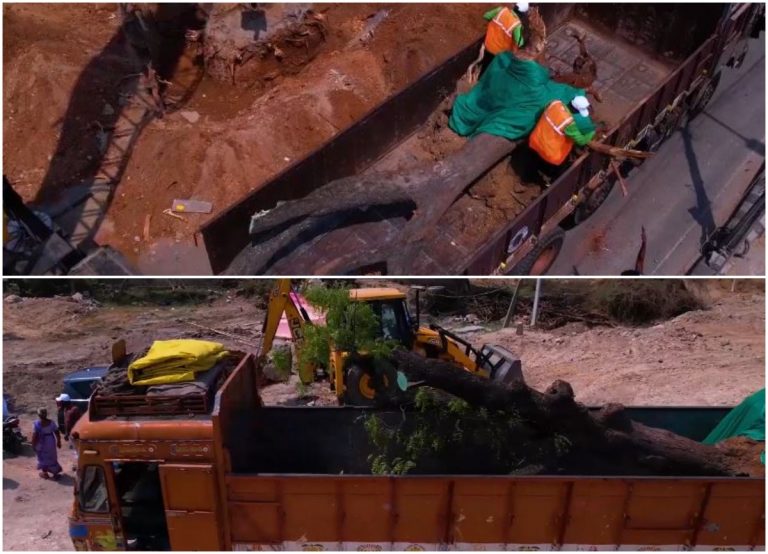 Green india Challenge: ట్రీస్ ట్రాన్స్ లొకేషన్ ప్రారంభం