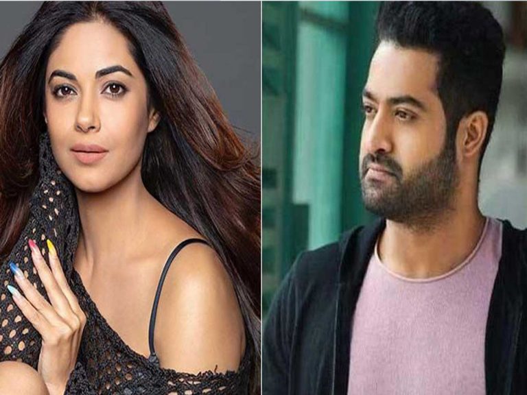 Meera Chopra: మరోసారి ఎన్టీఆర్ ఫ్యాన్స్ ని రెచ్చగొట్టిన పవన్ హీరోయిన్