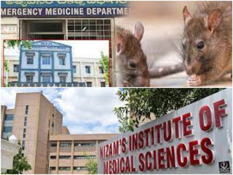 Warangal MGM: ఎలుకలు కొరికిన ఘటనలో బాధితుడు మృతి