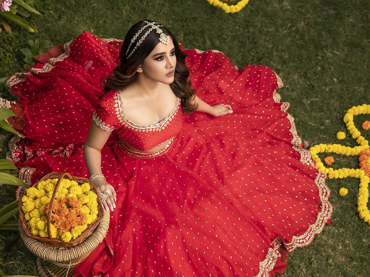 Nabha Natesh: అందమే అతివే అయితే అది నువ్వులే..