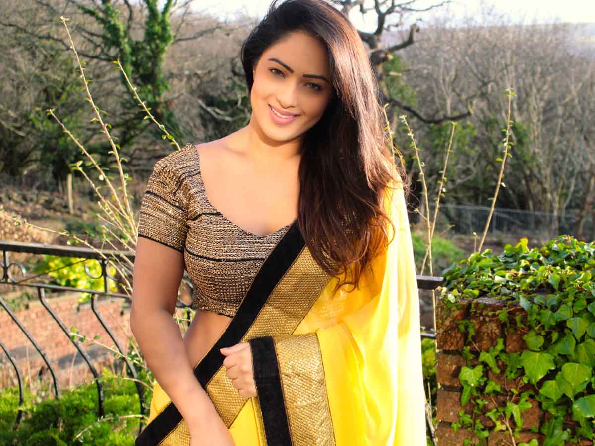 Nikesha Patel : ఏ మెగా స్టార్ గురించి మాట్లాడుతున్నారు ? నెటిజన్ కు పవన్ హీరోయిన్ ప్రశ్న
