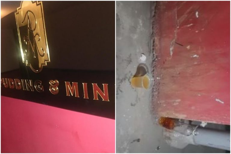 Pudding and Mink Pub: హైదరాబాద్‌ పబ్‌లో డ్రగ్స్ గబ్బు