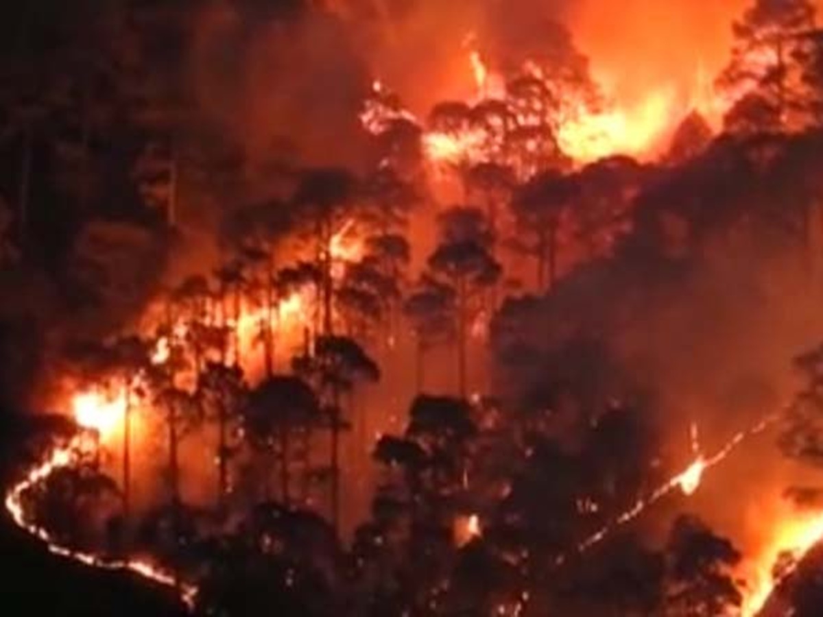 Warning: ఏపీ, ఒడిశాలకు పొంచి ఉన్న కార్చిచ్చుల ముప్పు