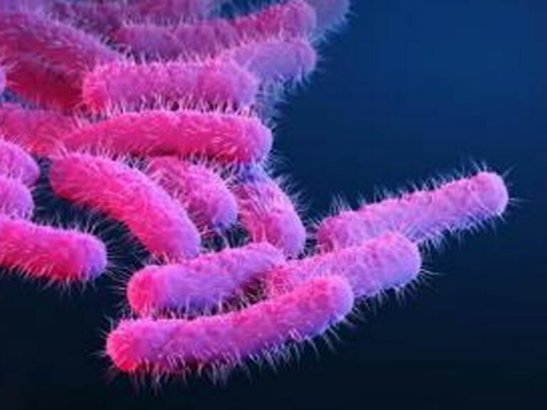 Shigella: కేరళలో వెలుగుచూసిన షిగెల్లా కేసు.. లక్షణాలు ఇవే..!