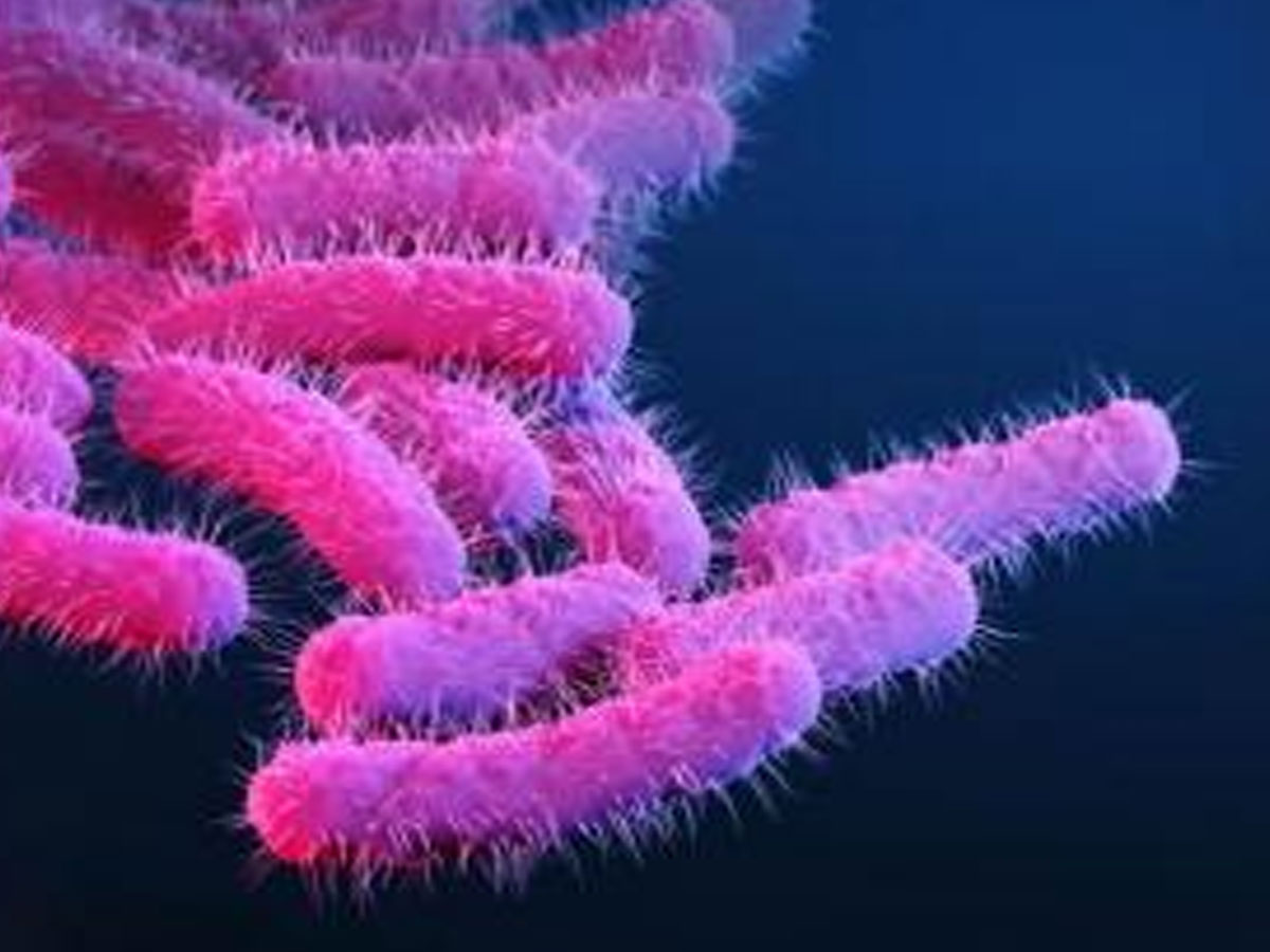 Shigella: కేరళలో వెలుగుచూసిన షిగెల్లా కేసు.. లక్షణాలు ఇవే..!