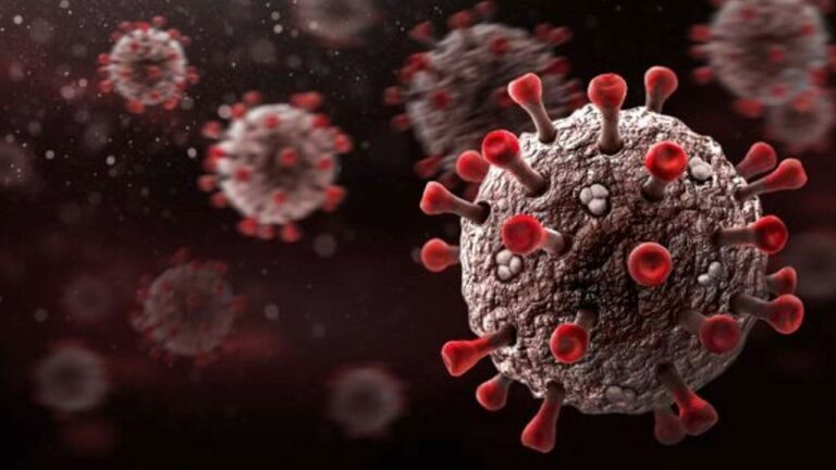 Corona Updates : దేశంలో మళ్లీ పెరగిన కరోనా కేసులు..