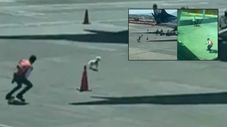 Viral: ఎయిర్‌పోర్టులో తప్పించుకున్న శునకం.. సిబ్బందికి చుక్కలు..!