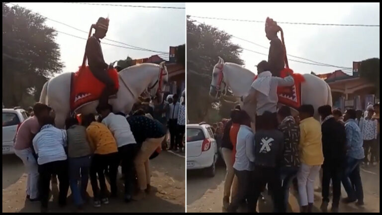 Viral News: గుర్రమెక్కిన వరుడు.. మంచమెక్కిన గుర్రం