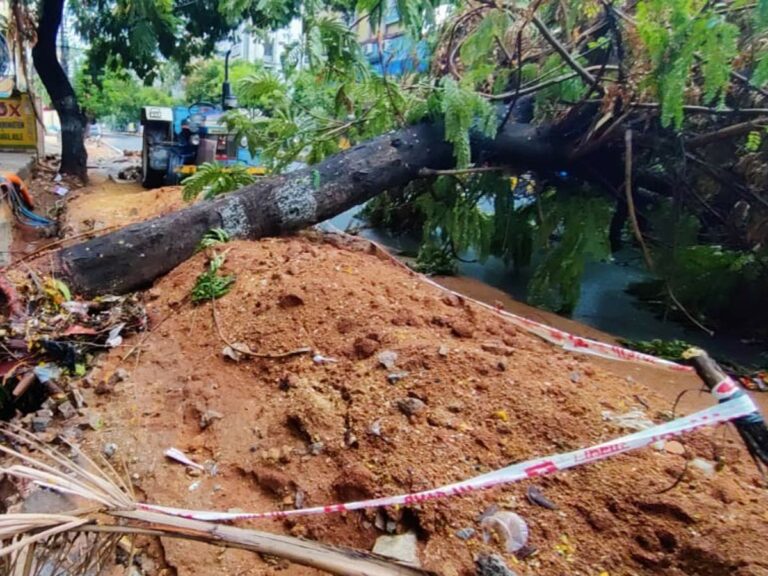 CMD Raghuma Reddy : విద్యుత్ శాఖ ప్రత్యేక కంట్రోల్ రూమ్.. ఈ నెంబర్లకు కాల్‌ చేయండి..