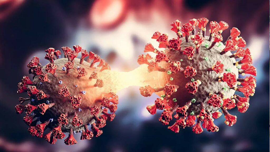 Omircron Sub Variant