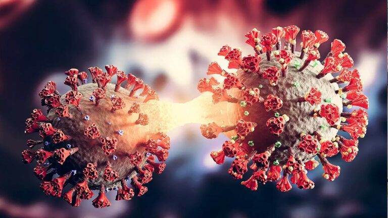 Corona Updates : హైదరాబాద్‌లో తొలి ఒమిక్రాన్‌ సబ్‌ వేరియంట్‌ కేసు..