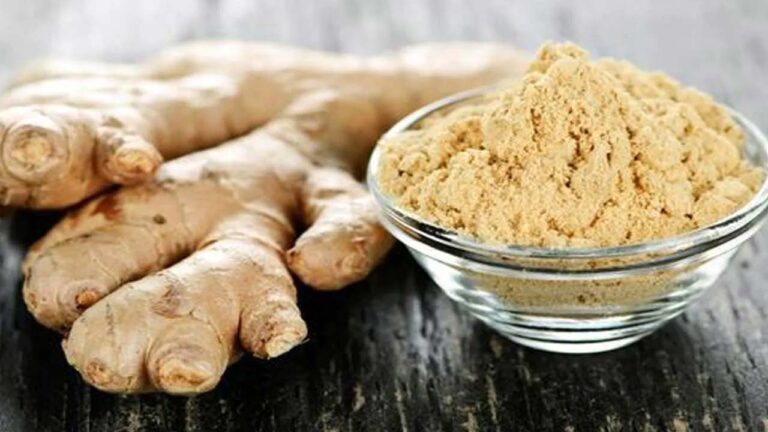 Benefits of Ginger:ఎండిన అల్లంతో అనేక ప్రయోజనాలు..