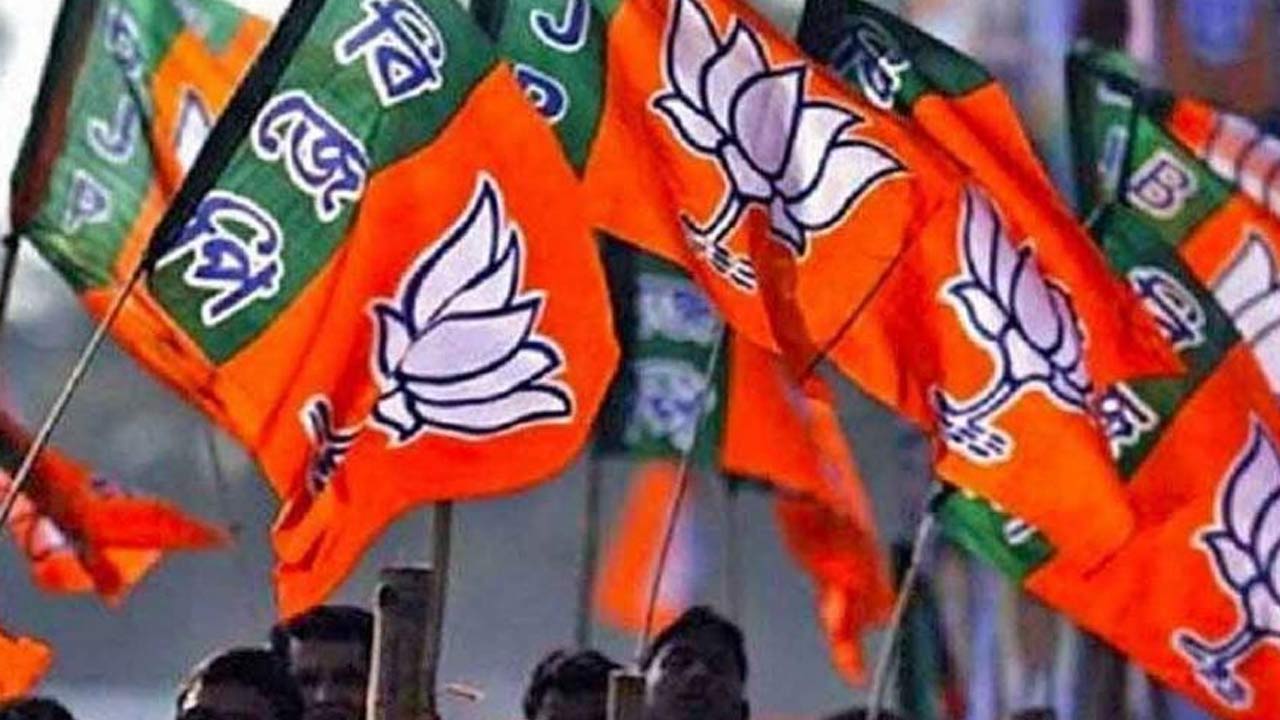 BJP : బీజేపీ జాతీయ కార్యవర్గ సమావేశాల వివరాలు ఇవే..