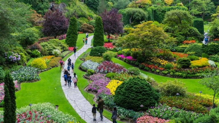 Andhra Pradesh: ప్రతి ఉమ్మడి జిల్లాలో బయోడైవర్సిటీ పార్క్