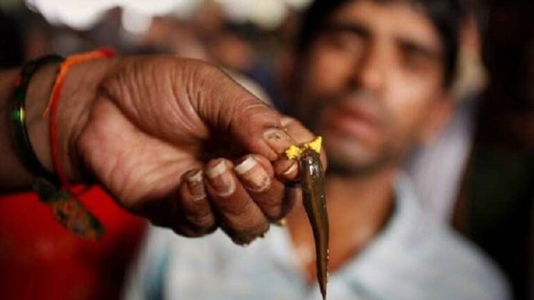 Chepa Mandu : ఈ ఏడాది కూడా చేప మందు లేనట్లే..