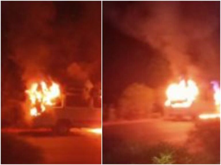 Cows Burnt Case: పశువుల తరలింపు కేసు.. ఐదుగురి అరెస్ట్