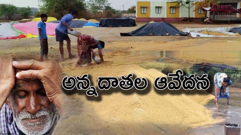 Raineffect:ఆ జిల్లాల్లో దంచి కొట్టిన వాన‌.. అన్న‌దాత‌ల ఆవేద‌న‌