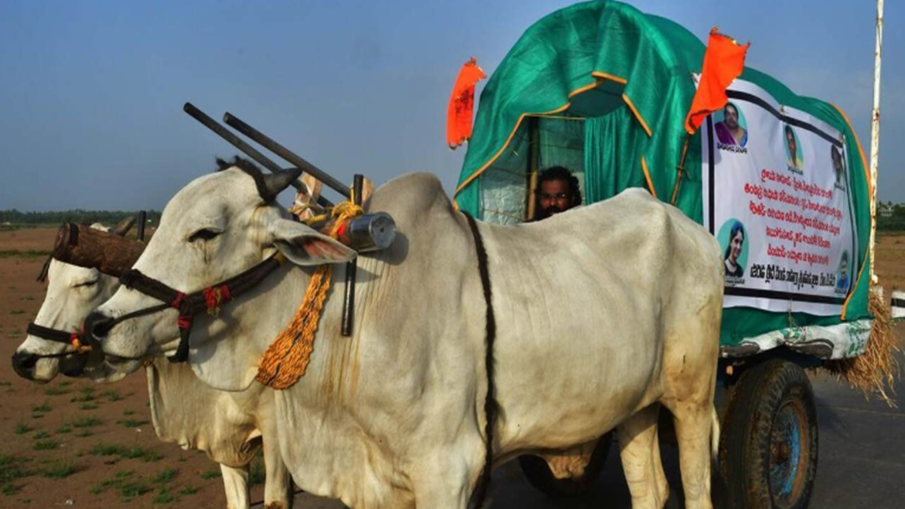 NTR District: చెల్లెలి కోసం ఎడ్లబండిపై హస్తినకు అన్న.. స్పందించిన హెచ్‌ఆర్సీ