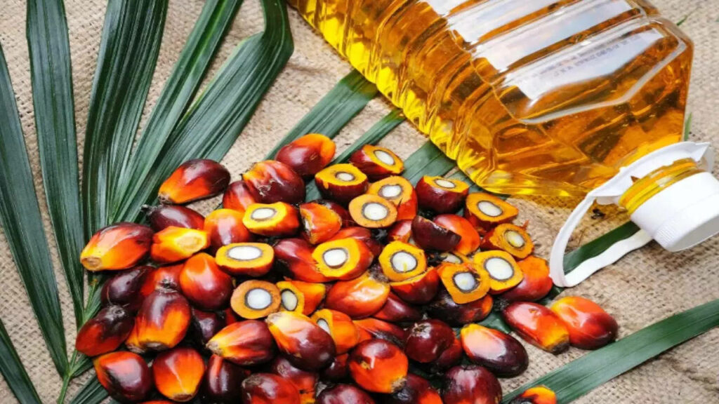 Indonesia Palm Oil