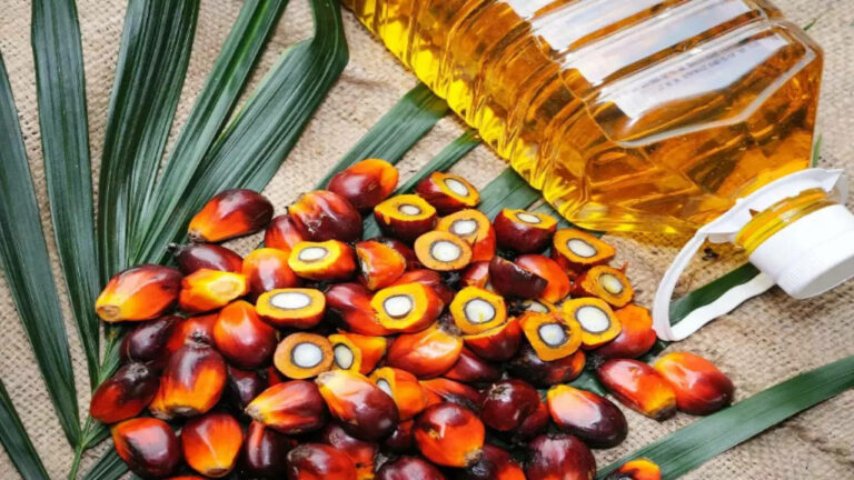 Palm oil:  గుడ్ న్యూస్.. పామాయిల్ ఎగుమతులపై నిషేధం ఎత్తివేత