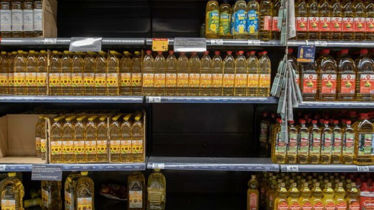 Iran Crisis: ఇరాన్ కు ఉక్రెయిన్ సెగ…300 శాతం పెరిగిన నిత్యావసరాల ధరలు